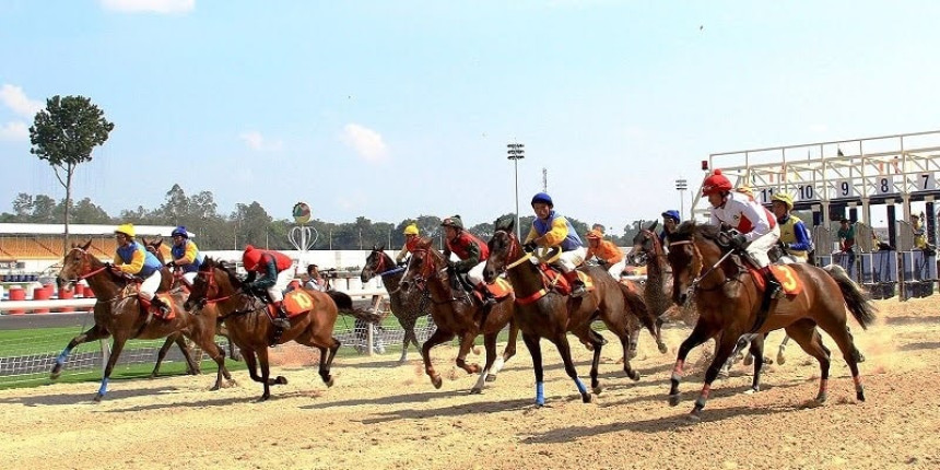Decoding some important terms when betting on horse racing