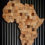 The Economic Impact of Betting vs. Gambling in South Africa