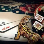 Guide to Playing Dragon Tiger at Sunwin