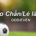 Odd/Even Bets – Detailed Guide to Sports Betting 2025!