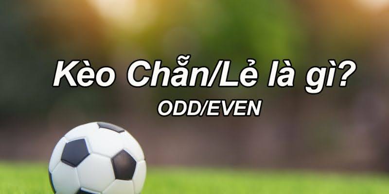 Odd/Even Bets – Detailed Guide to Sports Betting 2025!