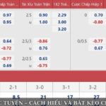 Online Odds – How to Understand and Bet Most Accurately