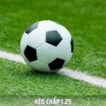 What is 1.25 Handicap? How to Read and Calculate Money in Detail From A to Z