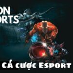 Esports at Bongvip – don’t just watch the game, turn every combat into real money