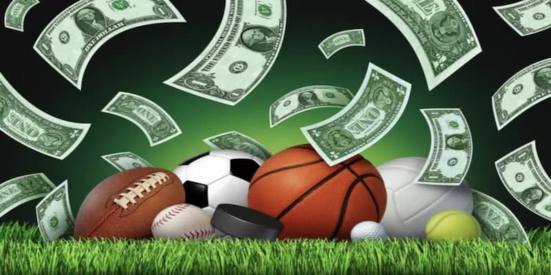 7M Sports – The World of Odds for Many Players