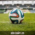 Handicap 1.25 – Tips to Optimize Profits for Bettors