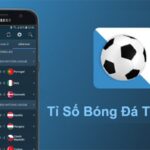 7m macao score and professional betting experience with JBO