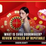 What Is SV66 Bookmaker? Review Detailed Of Reputable