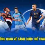B8 Sports – Endless Events and Exceptional Odds Every Day