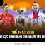 S666 Sports Capital Management: Stop point, smooth corridor, no “chasing”
