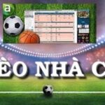 The Most Accurate Bookie Odds with Bongdako: Handicap and Over/Under Analysis
