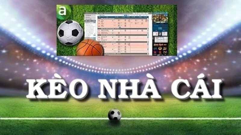 The Most Accurate Bookie Odds with Bongdako: Handicap and Over/Under Analysis