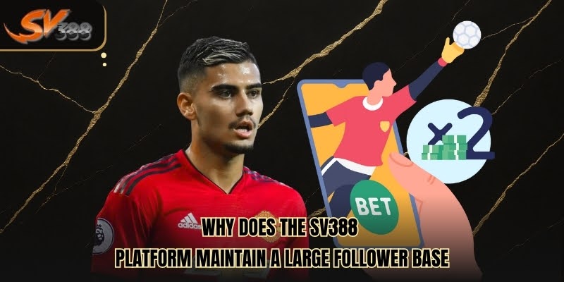 Why Does The Sv388 Platform Maintain A Large Follower Base