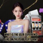 What Is The User Experience Like On The PG88 Platform?