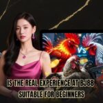Is The Real Experience At BJ88 Suitable For Beginners