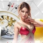 9R Casino Brazil – A Complete Online Betting and Gaming Platform
