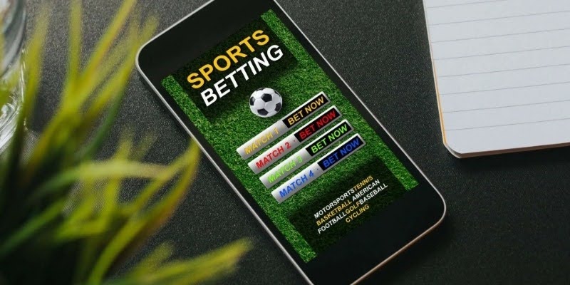 Bookmaker odds and how to read betting markets clearly