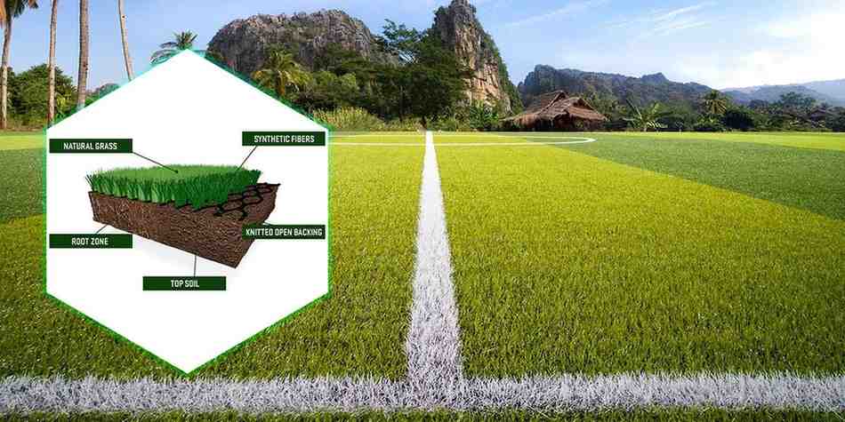 How does hybrid grass work in sports?
