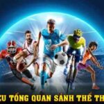 Learn How MM88 Sports Betting Works