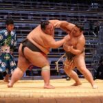 The different divisions of professional sumo