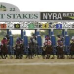 North American Triple Stakes: 6 Keys To Bet Well