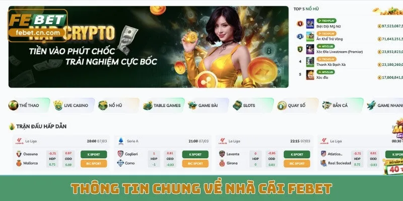 Febet Online Entertainment Platform: Features, Security and Responsible Play