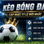 Keo Bong Da – Understanding Football Odds, Markets, and Match Context