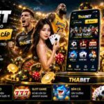 Thabet Guide: Understanding Tha Bet and Online Entertainment Features